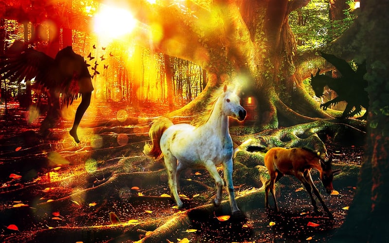 Unicorn Glades